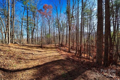 TBD Rockinghorse Trail unit Tract 2, Burnsville, NC 28714 - photo 5