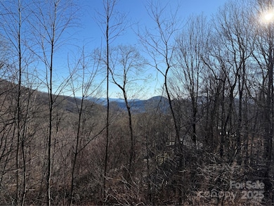 000 Trillium Ln unit 30, Mars Hill, NC 28754 - photo 3