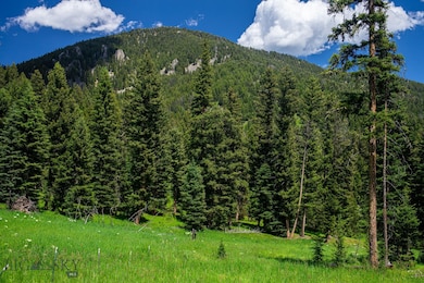 Tract 1A-1 Chief Joseph Trail, Big Sky, MT 59716 - photo 6