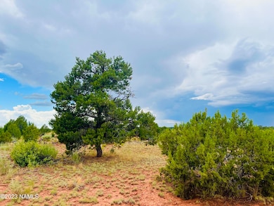 4378 Lasso Loop Photo 13