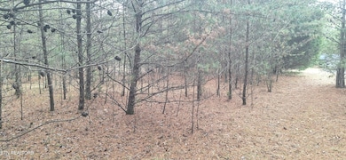 0 Raintree Ln unit 1323950, Kingston, TN 37763 - photo 4