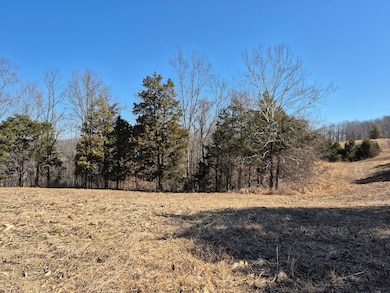 0 Preston Sullivan Rd unit 25641980, Columbia, KY 42728 - photo 3