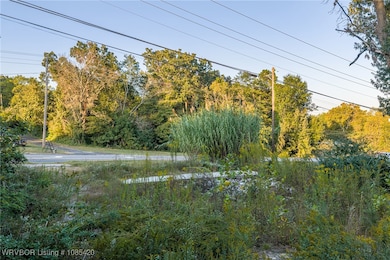 1602 W Walnut St, Paris, AR 72855 - photo 4