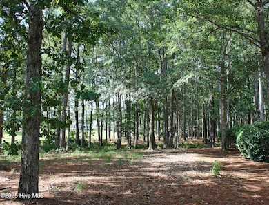 513 Cliffside Point SW, Ocean Isle Beach, NC 28469 - photo 2