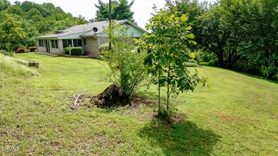 0 Laurel St, Weber City, VA 24290 - photo 7