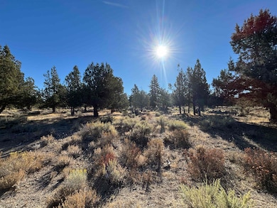 Unit 8-2 Lot 145- Sherwood Rd unit 8-2, Weed, CA 96094 - photo 3