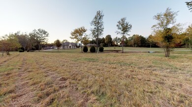 Lot-Photo-4