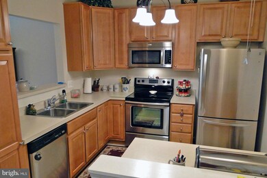 8615 Fluttering Leaf Trail unit 205, Odenton, MD 21113 - photo 5