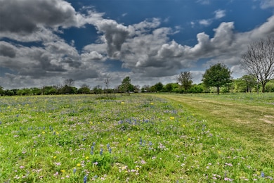 Picture taken Spring 2023. Look at those wildflowe