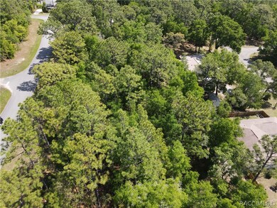 2710 W Century Blvd, Citrus Springs, FL 34434 - photo 3