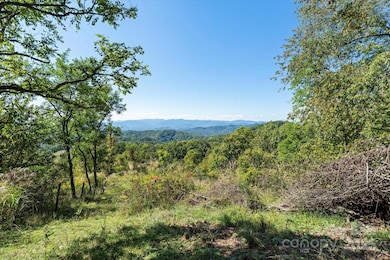 1623 Ammons Branch Rd, Marshall, NC 28753 - photo 3