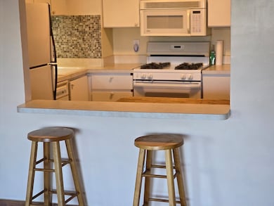 Chapel Hill West unit 414, Framingham, MA 01702 - photo 5