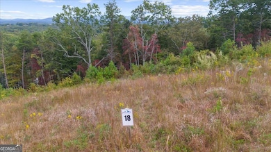 0 Horizon Ridge, Blue Ridge, GA 30513 - photo 2