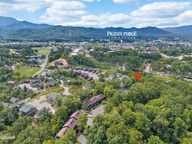 3680 Plaza Way unit 121-126, Pigeon Forge, TN 37863 - photo 3