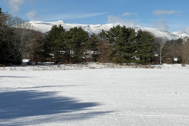 435 Stonybrook Rd unit 29, Stowe, VT 05472 - photo 2