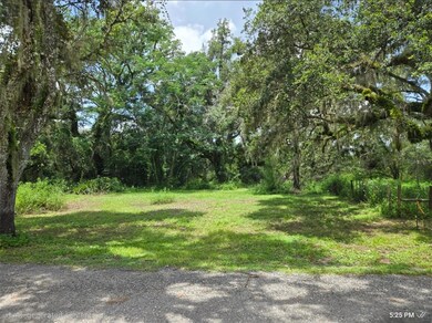 0 Dublin Rd, Ridge Manor, FL 33523 - photo 4