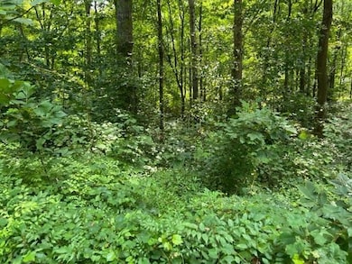 0 Crooked O Trail unit 7666229, Gainesville, GA 30506 - photo 4