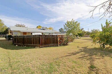 Backyard 3