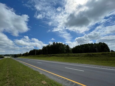 0 New Manchester Hwy, Manchester, TN 37355 - photo 3