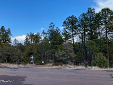 Sierra Pines lot 425