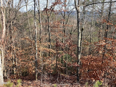 Lot 51 Red Cedar Ln, Sevierville, TN 37876 - photo 3