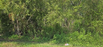 905 NE 6th St, Carrabelle, FL 32322 - photo 4