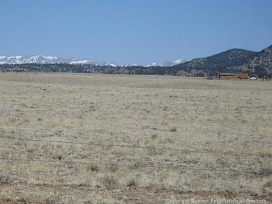 418 Andesite Way, Hartsel, CO 80449 - photo 3