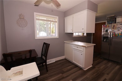 1128 Myrtle Ave, Ashtabula, OH 44004 - photo 6