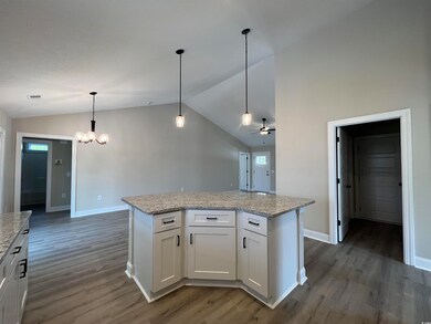 8241 Kerl Rd unit Lot 1 - Cedar Plan, Conway, SC 29526 - photo 7