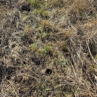 Tract 3 E 1290 Rd, McCurtain, OK 74944 - photo 7