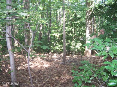 4708 Pinecrest Ct, Dumfries, VA 22025 - photo 3