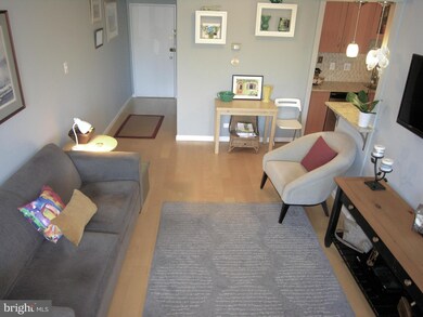 Tiber Island unit N403, Washington, DC 20024 - photo 5