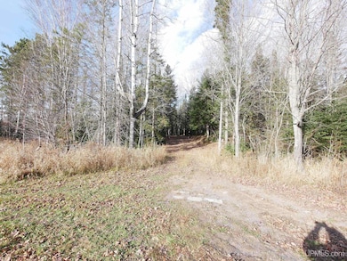 TBD Asumaa Rd, Atlantic Mine, MI 49905 - photo 4