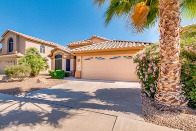03-Palm Ridge