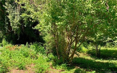 90 Wyatt St, Asheville, NC 28803 - photo 2