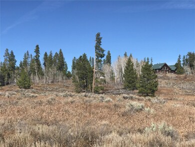 33512 Seneca Trail, Oak Creek, CO 80467 - photo 5