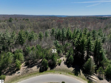 6387 Jeffrey Place unit Lot 32, Grawn, MI 49637 - photo 3