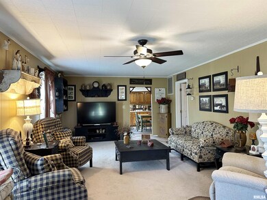 120 Cain Rd, Harrisburg, IL 62946 - photo 6