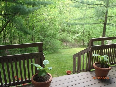 This is your Serene View