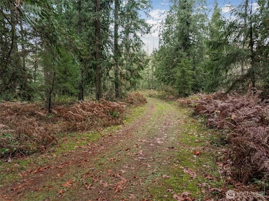 32716 Benbow Dr E, Graham, WA 98338 - photo 6