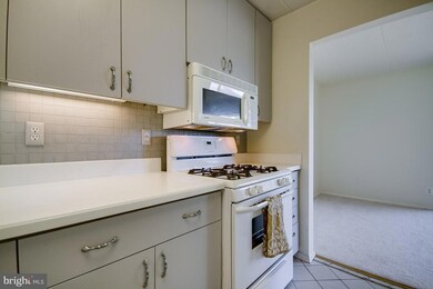 2610 Indian Dr unit 1D, Alexandria, VA 22303 - photo 7