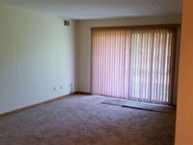 11045 S Theresa Cir unit 1C, Palos Hills, IL 60465 - photo 5