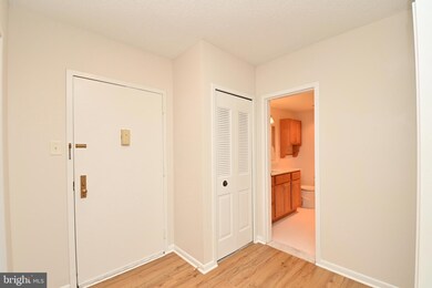 Skyline Plaza unit 103N, Baileys Crossroads, VA 22041 - photo 5