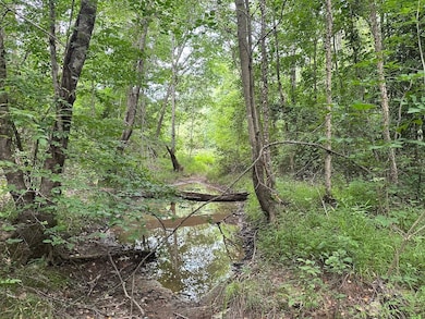 00 Red Bud Rd, Castalia, NC 27816 - photo 5