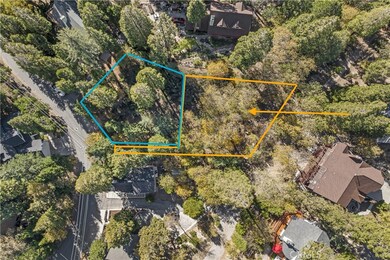 Lot for this listing is outlined in yellow. Blue outline is adjacent lot for sale by different owner, same agent. Lines drawn are not to scale and are approximate.