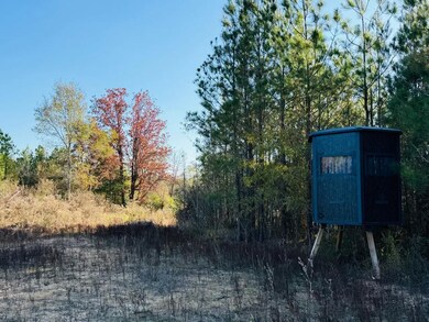 Cr 4210, Sallis, MS 39160 - photo 6