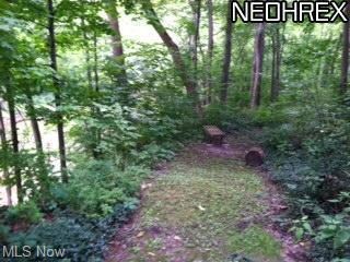 Walkway to river