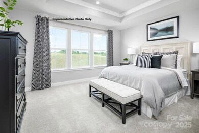 Representative Photo Only