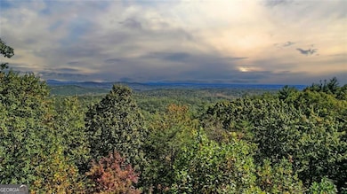 1499 Eagle Ridge Rd, Dawsonville, GA 30534 - photo 2