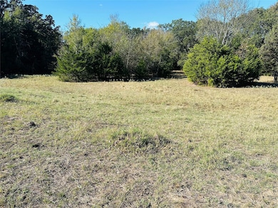 1683 County Road 3563, Dike, TX 75437 - photo 6